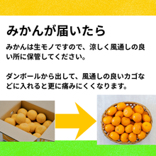 画像をギャラリービューアに読み込む, 宇和島の太陽が育てた「極早生みかん」ご自宅用 産地直送　箱込み２キロ
