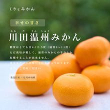 画像をギャラリービューアに読み込む, 川田温州みかん 5kg
