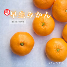 画像をギャラリービューアに読み込む, 早生みかん 訳あり 5kg
