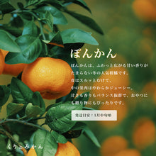 画像をギャラリービューアに読み込む, ポンカン　訳あり５キロ１月中旬より発送
