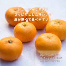 画像をギャラリービューアに読み込む, 早生みかん 訳あり 5kg
