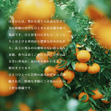 画像をギャラリービューアに読み込む, ポンカン　訳あり５キロ１月中旬より発送
