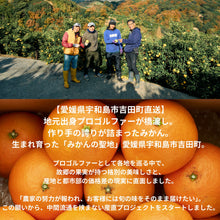 画像をギャラリービューアに読み込む, 宇和島の太陽が育てた「極早生みかん」ご自宅用 産地直送　箱込み２キロ
