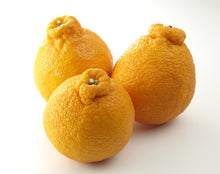 画像をギャラリービューアに読み込む, 不知火（デコポン）　２キロ　訳あり　二月中頃より発送
