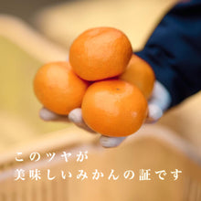 画像をギャラリービューアに読み込む, 早生みかん 訳あり 5kg
