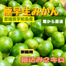 画像をギャラリービューアに読み込む, 宇和島の太陽が育てた「極早生みかん」ご自宅用 産地直送　箱込み２キロ
