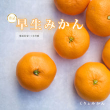 画像をギャラリービューアに読み込む, 早生みかん 秀品 5kg
