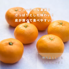 画像をギャラリービューアに読み込む, 早生みかん 秀品 5kg
