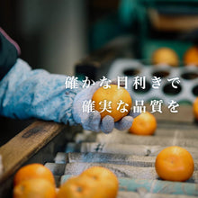 画像をギャラリービューアに読み込む, 早生みかん 訳あり 5kg
