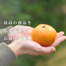 画像をギャラリービューアに読み込む, 早生みかん 訳あり 5kg
