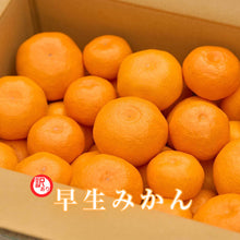 画像をギャラリービューアに読み込む, 早生みかん 訳あり 5kg
