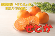 画像をギャラリービューアに読み込む, せとか　訳あり　２キロ　３月発送予定

