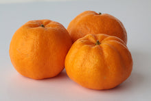 画像をギャラリービューアに読み込む, ポンカン　訳あり　２キロ　１月中旬より発送
